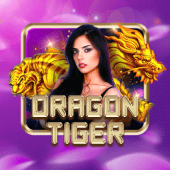 Dragon Tiger jili333 game live casino